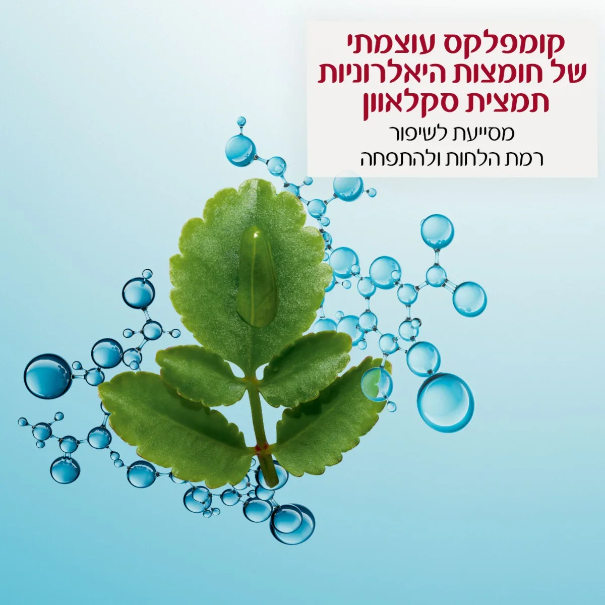 קלרינס HYDRA ESSENTIEL קרם יום לעור רגיל עד יבש - Image 3