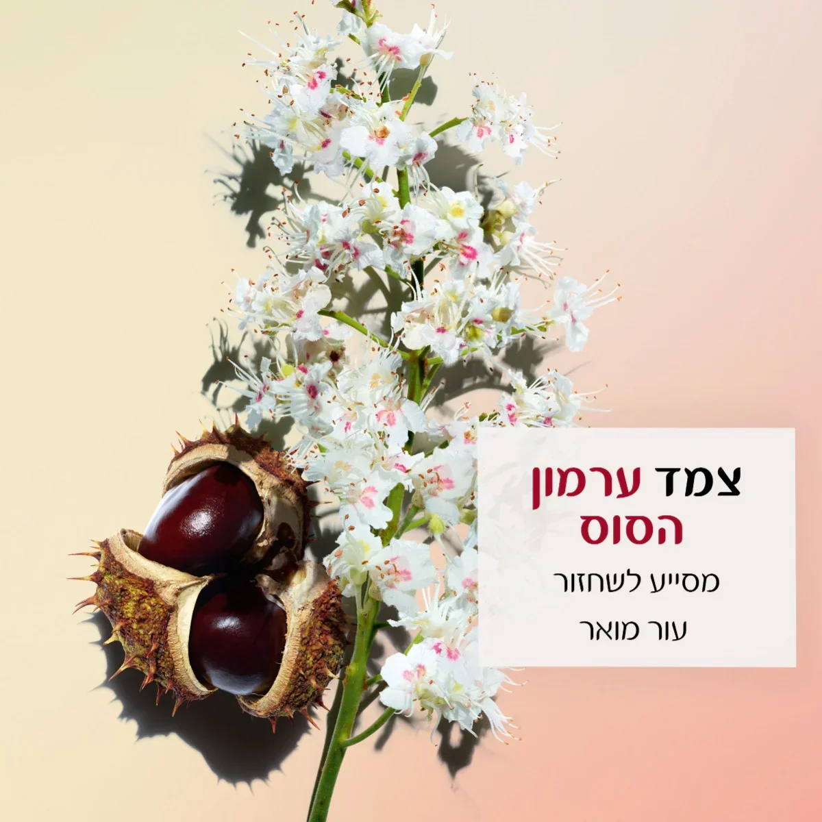 קלרינס NUTRI-LUMIERE קרם יום - Image 3