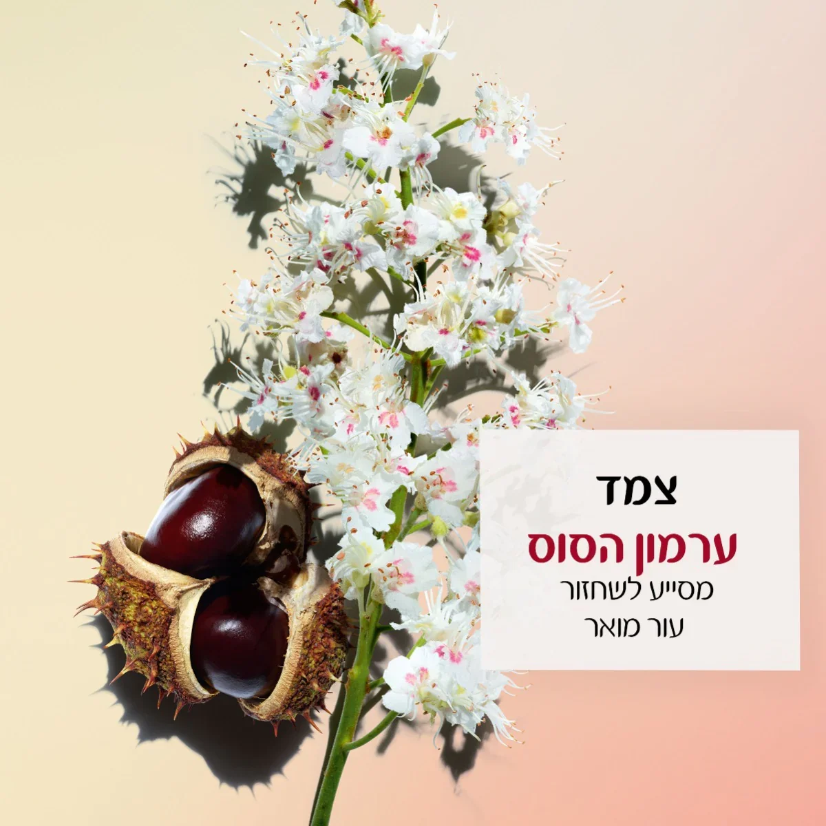 קלרינס NUTRI-LUMIERE קרם לילה - Image 3